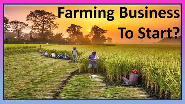farming-business-ideas