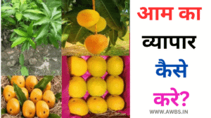 आम का व्यापार कैसे करें? गर्मियों के सीजन मे करे यह 3 महीने का बिजनेस aam ka vyapar kese kare