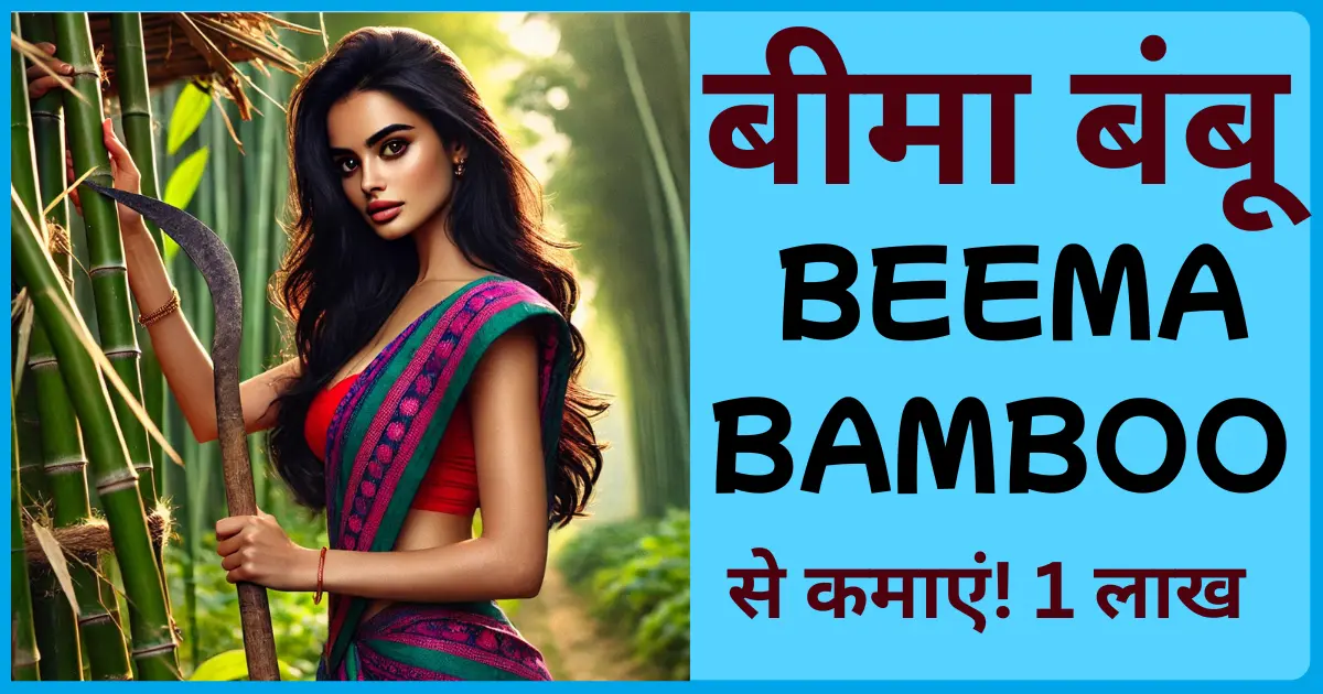 Beema bamboo business in india