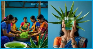Aloe Vera Gel Making Business