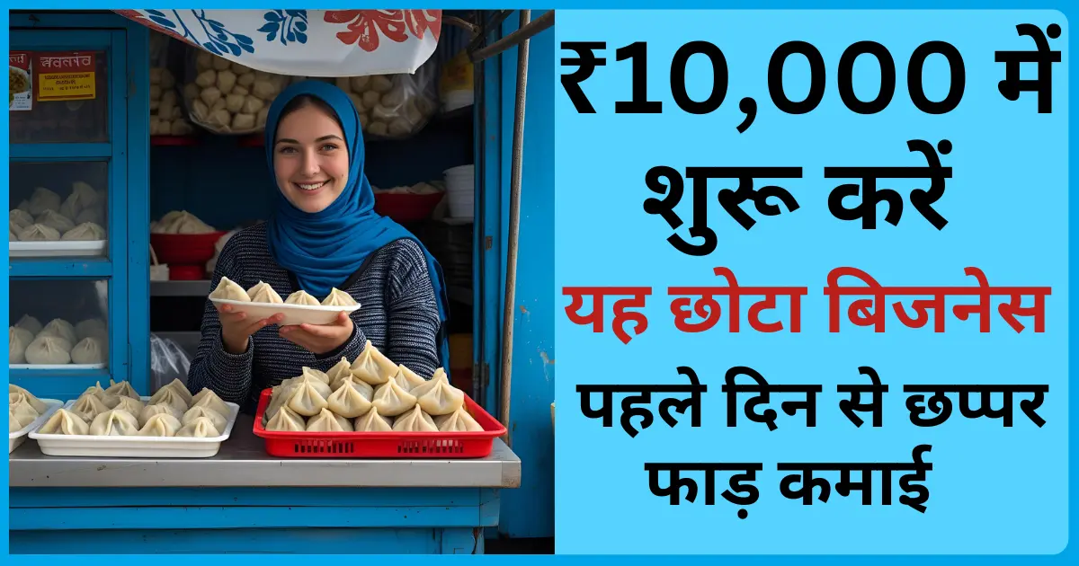 momos business idea in hindi